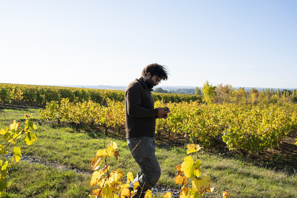 La Ferme de la Sansonniere