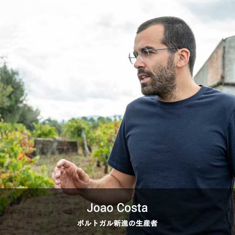 ジョアォン・コシュタ