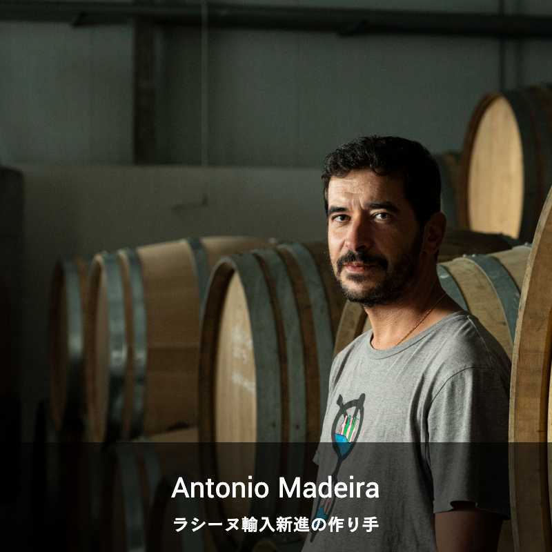 アントニオ・マデイラ