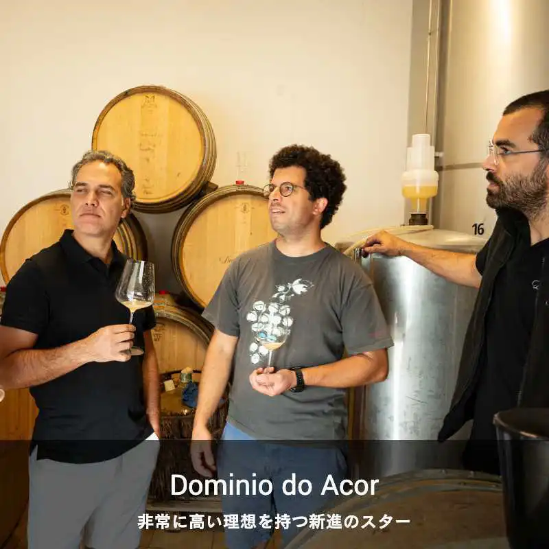 ドミニオ・ド・アソール