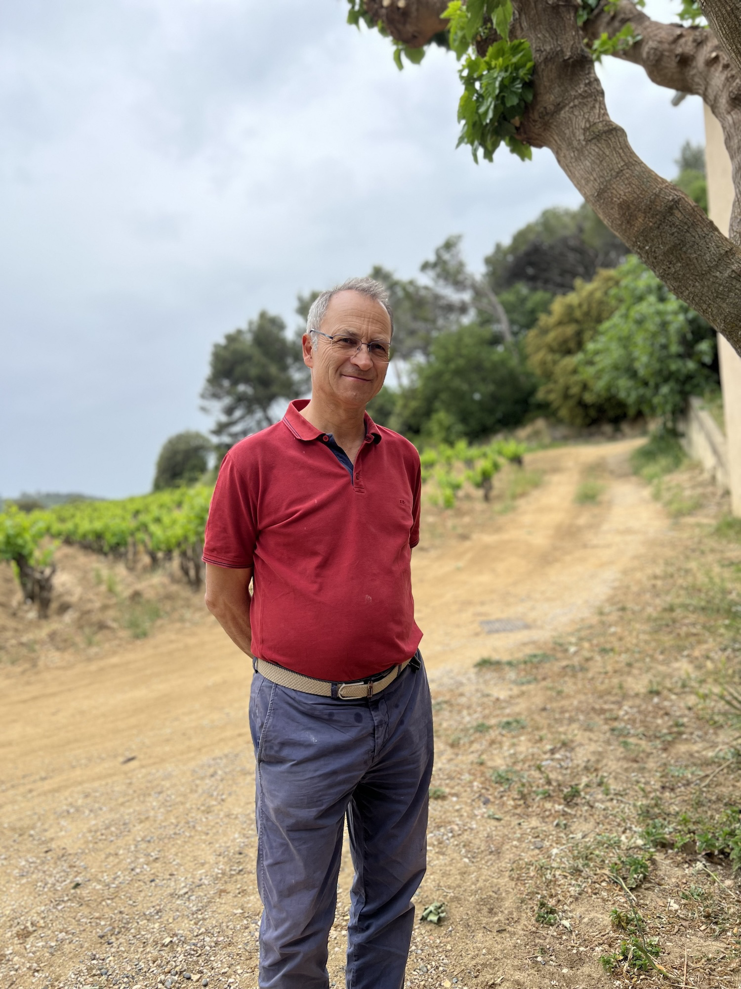 シャトー・ラヤス