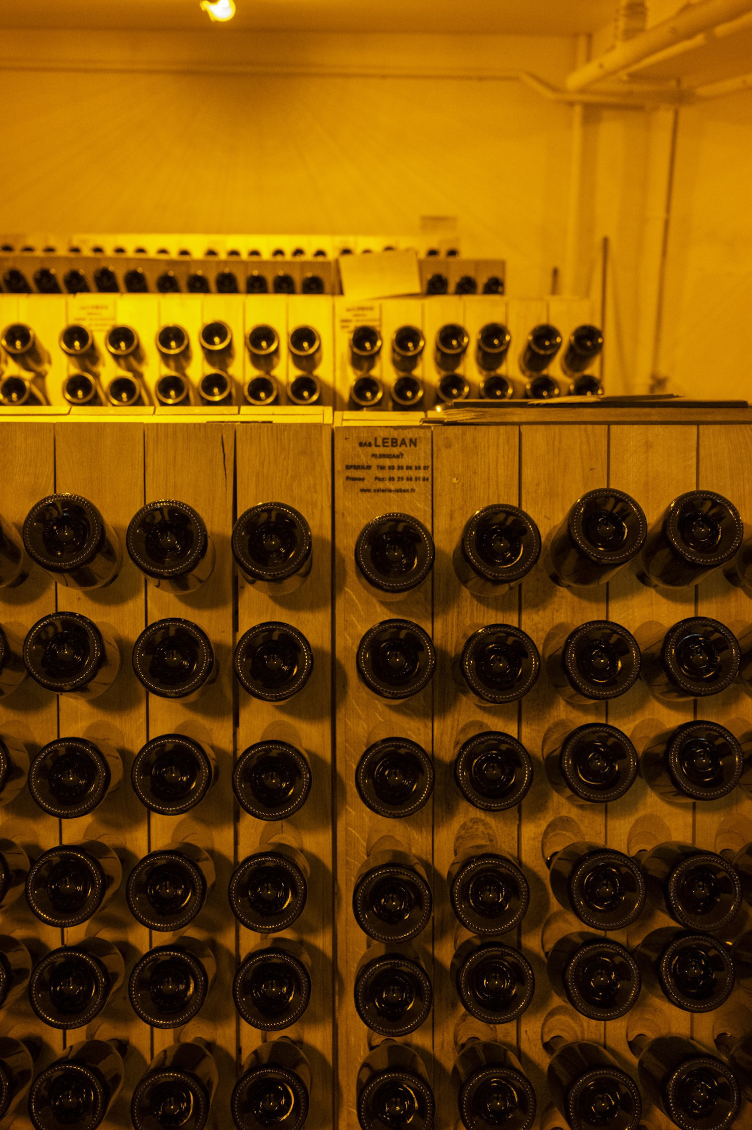 シャンパーニュ・パルマンティエール・ペール・エ・スール