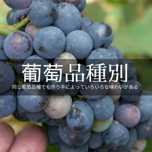 葡萄品種別ワインセット