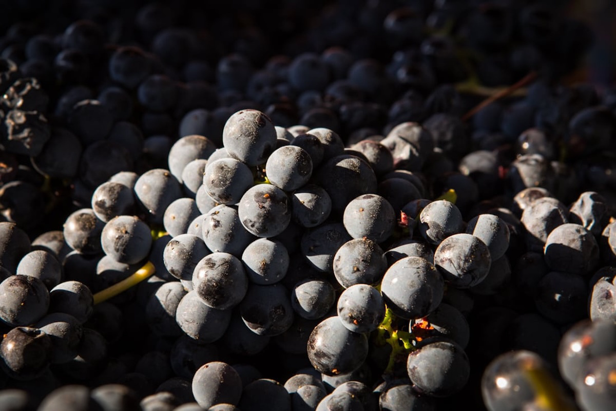 シャンパーニュ・ド・ラ・ルネサンス