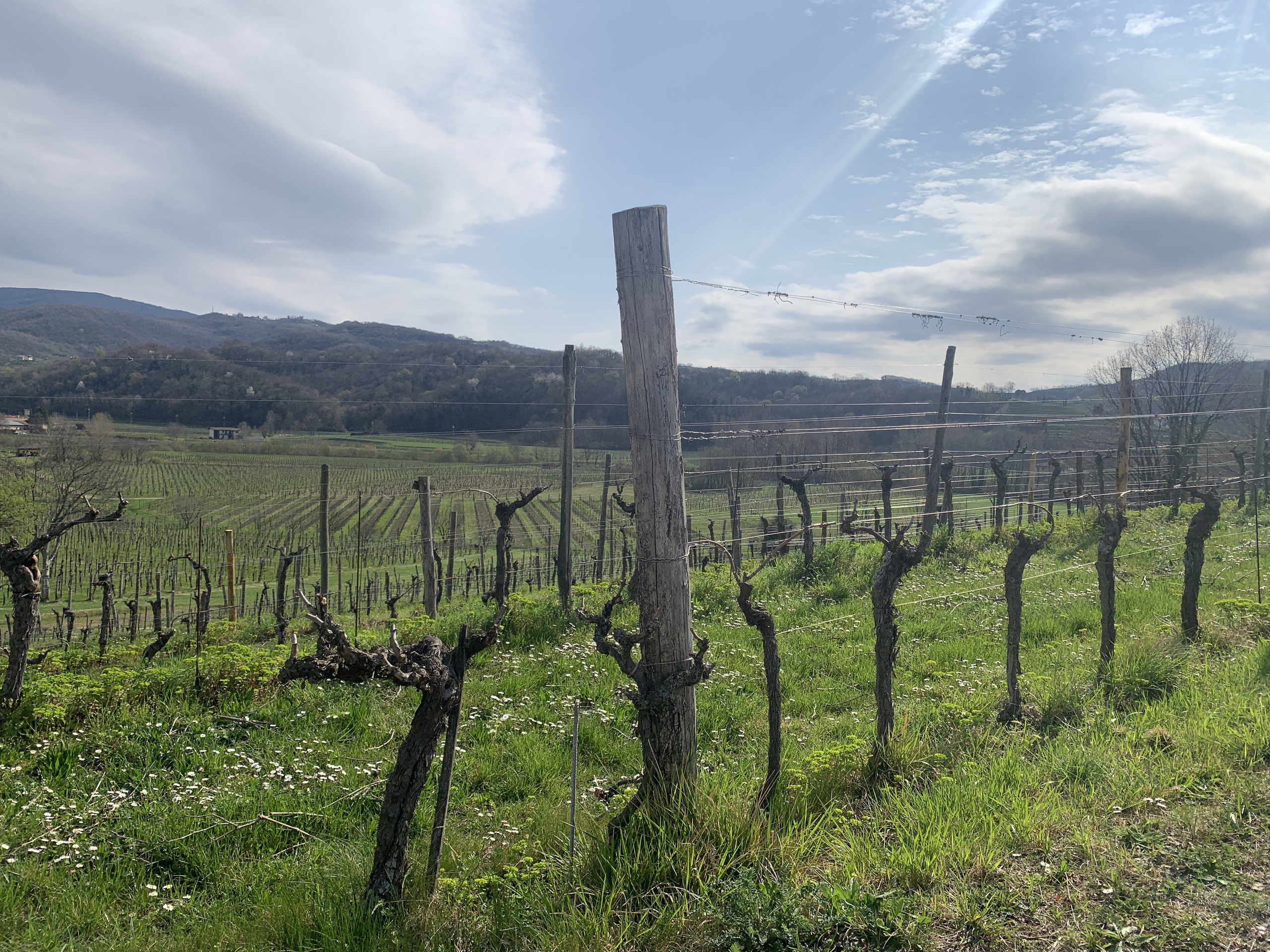 レ・デゥエ・テッレ