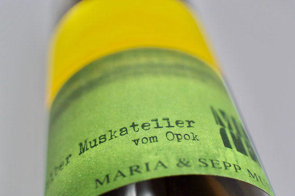 セップ・ムスター/ ゲルバー・ムスカテラー・フォム オーポク