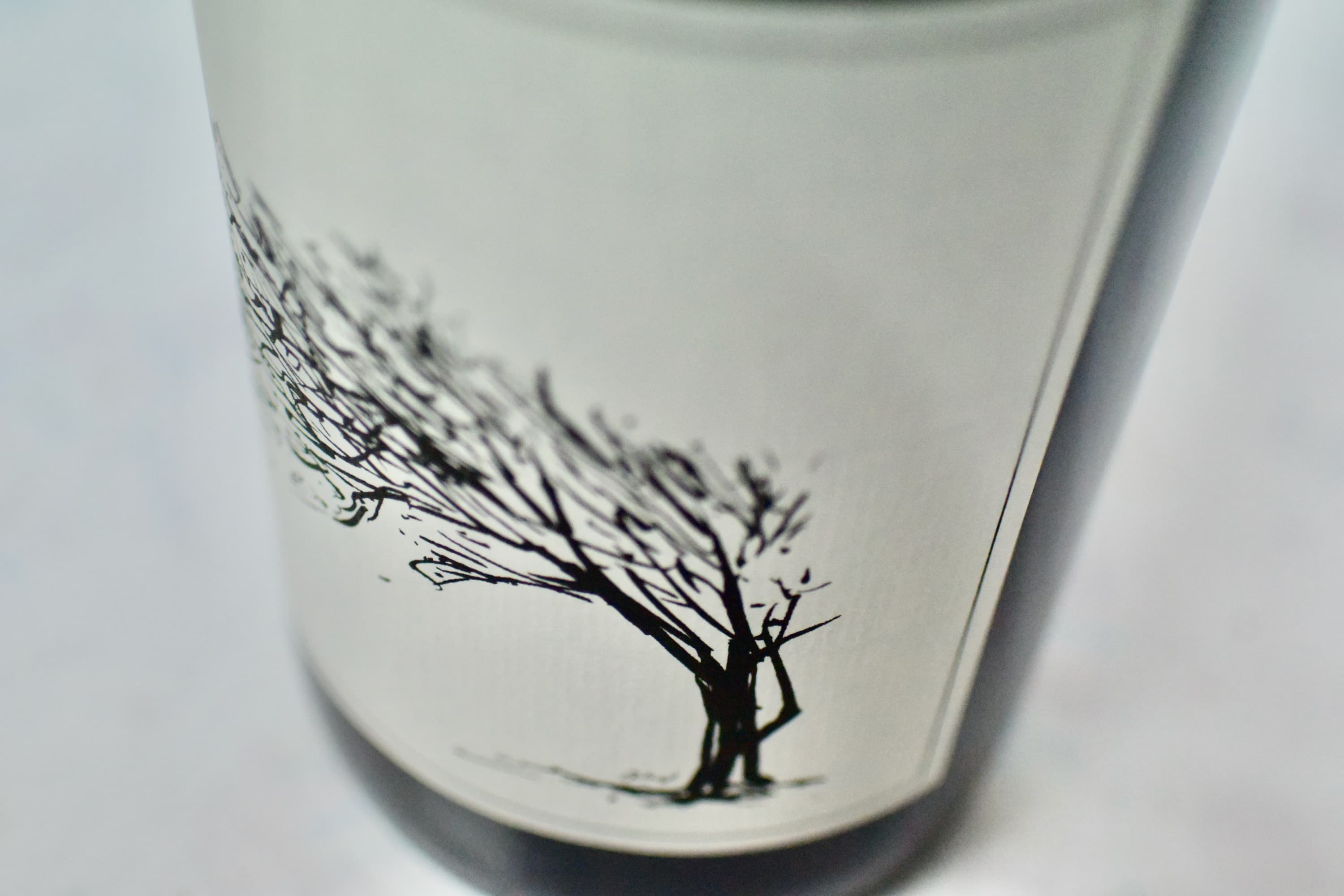 サヴェージ / ザ・ガール・ネクスト・ドア