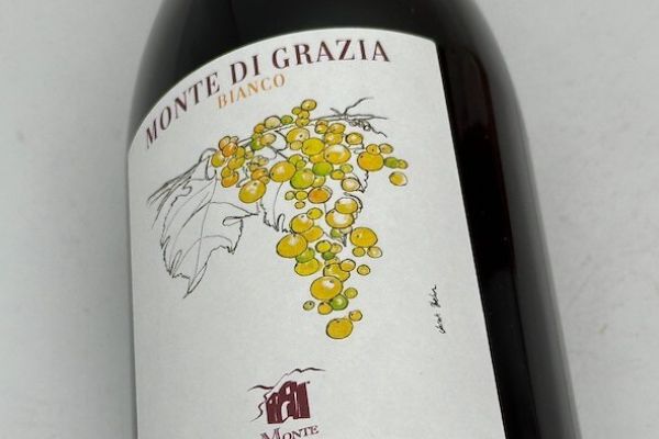 モンテ・ディ・グラツィア / ビアンコ