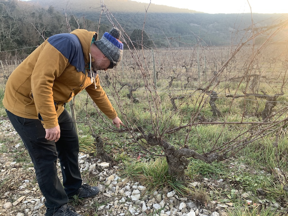 ジル・アゾーニ