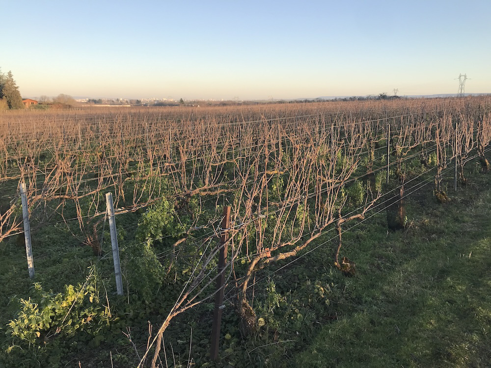 ジェローム・プレヴォー