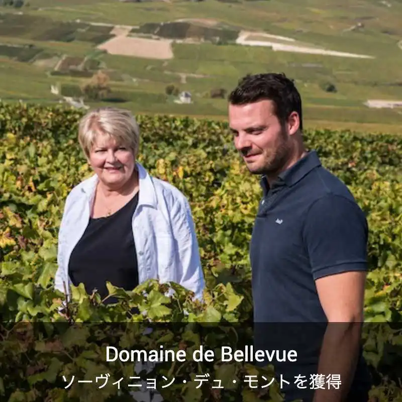 ドメーヌ・ドゥ・ベルヴュー