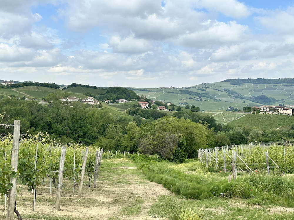 カッシーナ ティオレ