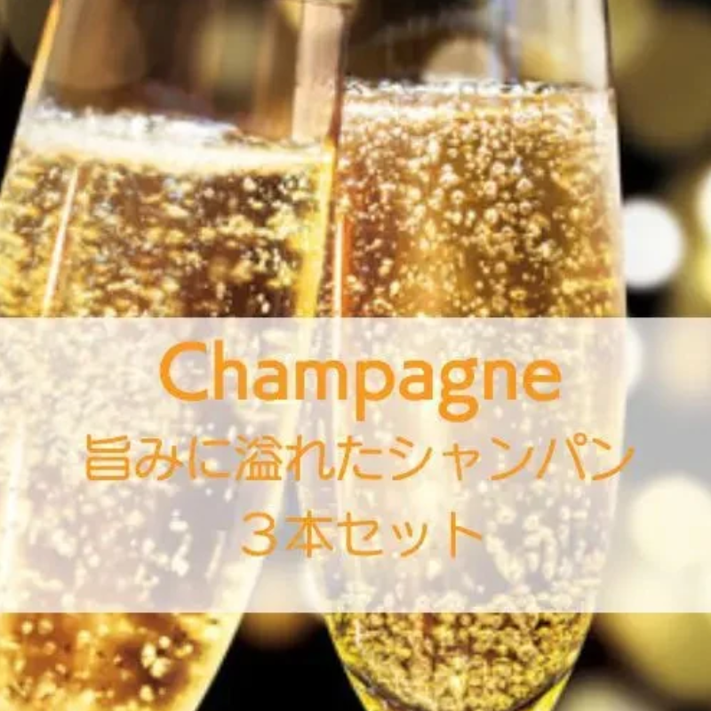 旨味に溢れたシャンパン3本セット