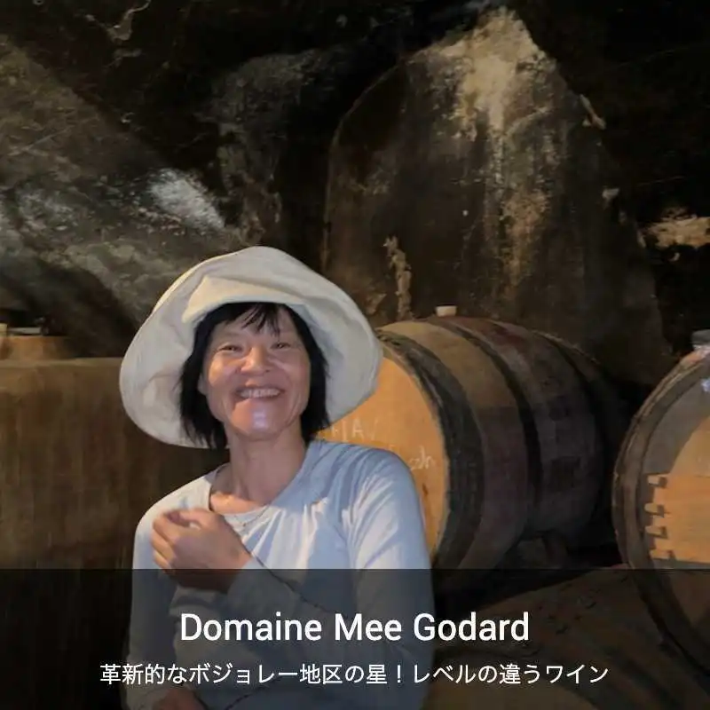 ドメーヌ・ミー・ゴダール