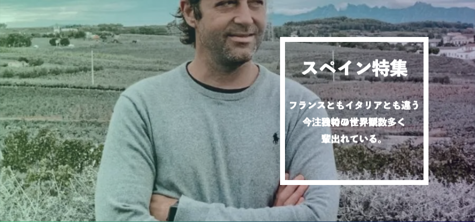 南アフリカ特集！